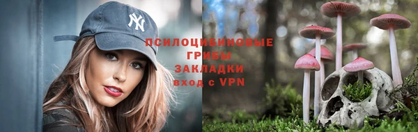 прущий лед Михайлов
